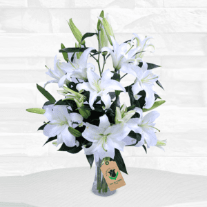 10 stems of white lilies in glass vase