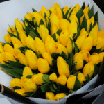 yellow_tulips_handbouquet_3_1
