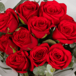 10 Red Roses Bouquet (1)