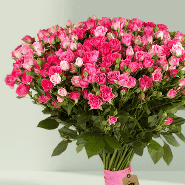 Bouquet of Spray Roses (1) Bouquet of Fresh Spray Roses Wrapped in Elegant Floral Paper