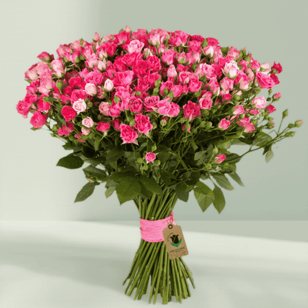 Bouquet of Spray Roses (2) Bouquet of Fresh Spray Roses Wrapped in Elegant Floral Paper