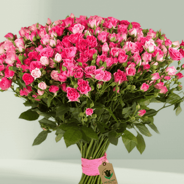 Bouquet of Spray Roses (3) Bouquet of Fresh Spray Roses Wrapped in Elegant Floral Paper