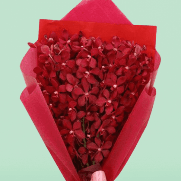 Buy Red Orchids Bouquet Online- Order Mokara Orchids Online | BTF.in