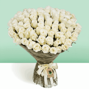 Buy White Roses Online - Bouquet of 50 premium white roses | Blacktulipflowers.in