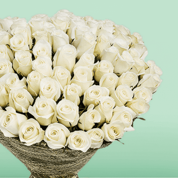 Buy White Roses Online - Bouquet of 50 premium white roses | Blacktulipflowers.in