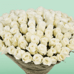 Remarkable Bouquet of 50 premium white roses (3)