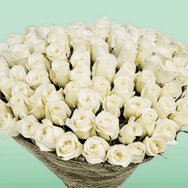 Buy White Roses Online - Bouquet of 50 premium white roses | Blacktulipflowers.in