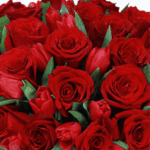 Valentine Day Special