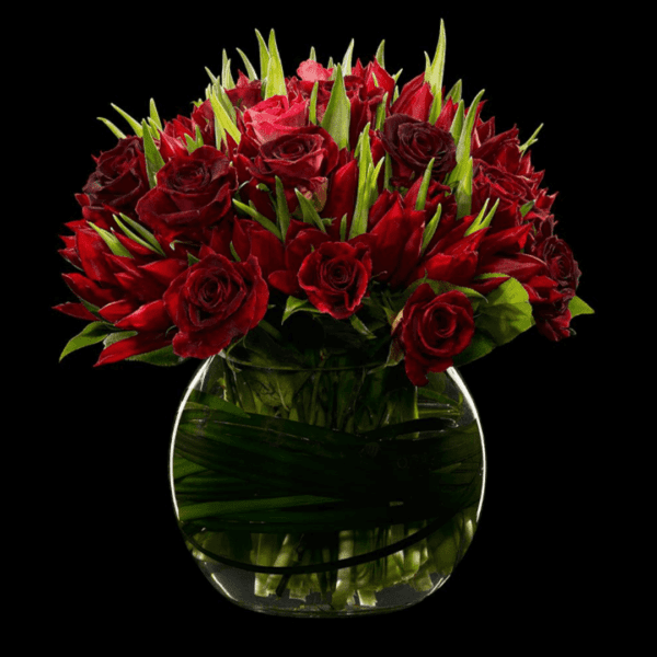 Lavish Red | Blacktulipflowers.in