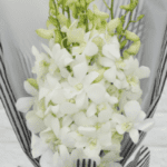 White Orchids Bouquet