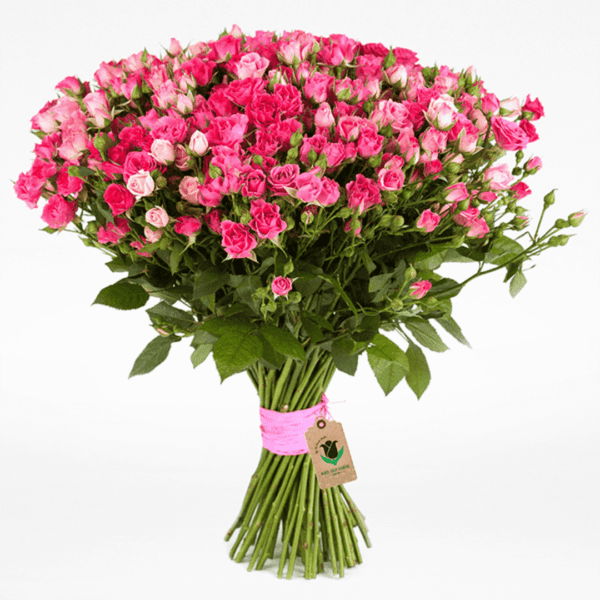 Order Bouquet of Spray Roses Online in India | BTF.in