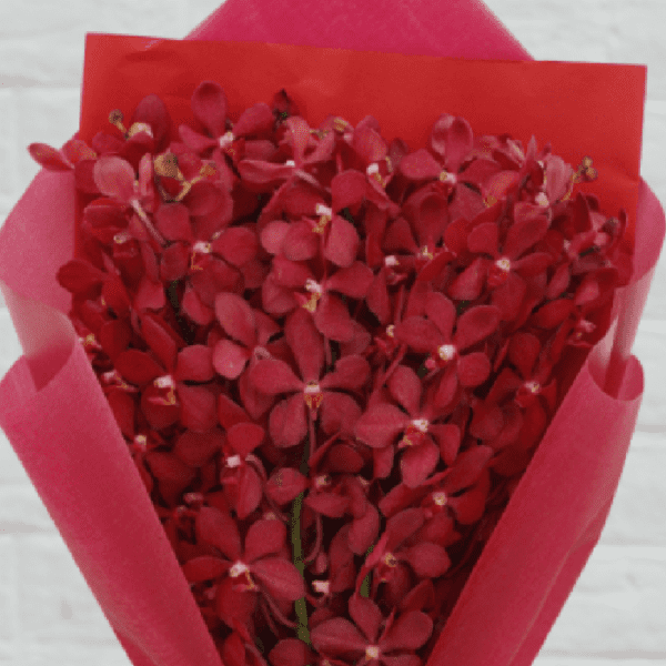 Red Orchids Bouquet | Blacktulipflowers.in