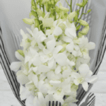 white_orchids_bouquet
