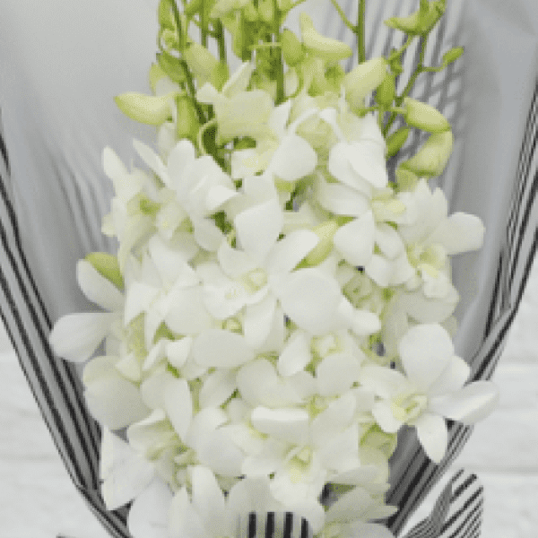 White Orchids Bouquet | Blacktulipflowers.in