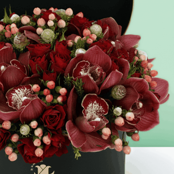 Christmas special gift box arrangement featuring elegant white cymbidium orchids with festive seasonal styling, beautifully arranged in a premium gift box for holiday celebrations, gifting, and winter floral decor.
