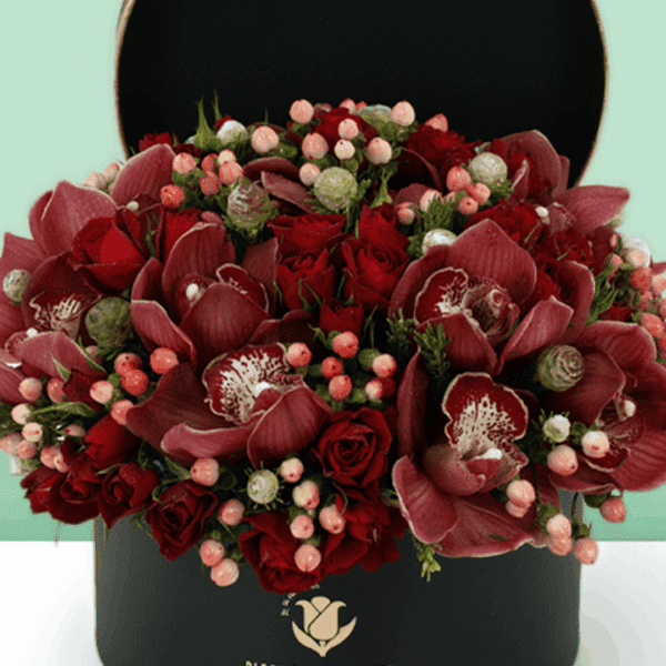 Christmas special gift box arrangement featuring elegant white cymbidium orchids with festive seasonal styling, beautifully arranged in a premium gift box for holiday celebrations, gifting, and winter floral decor.