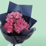 Bunch of Dark Pink Hydrangeas (2)