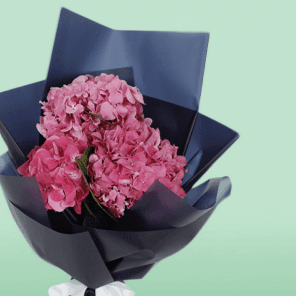 Bunch of Dark Pink Hydrangeas (2) Bunch of Dark Pink Hydrangeas | Exotic Hydrangea Flowers | BTF.in
