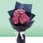 Bunch of Dark Pink Hydrangeas (3)