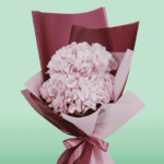 Bunch of Pink Hydrangeas (1)