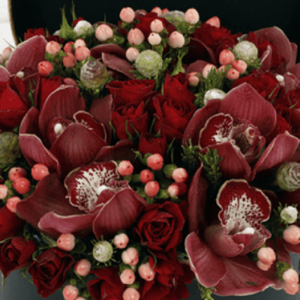A Christmas Special Gift | Blacktulipflowers.in
