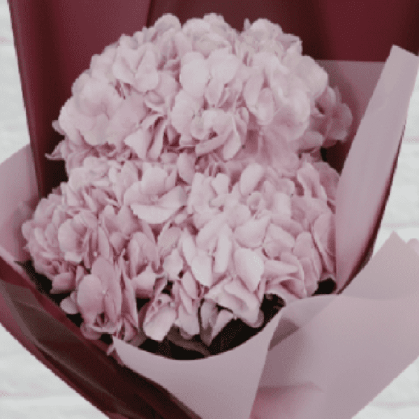 Bunch of Pink Hydrangeas | Blacktulipflowers.in