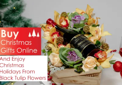 Buy Christmas Gifts Online and Enjoy Christmas Holidays - BTF