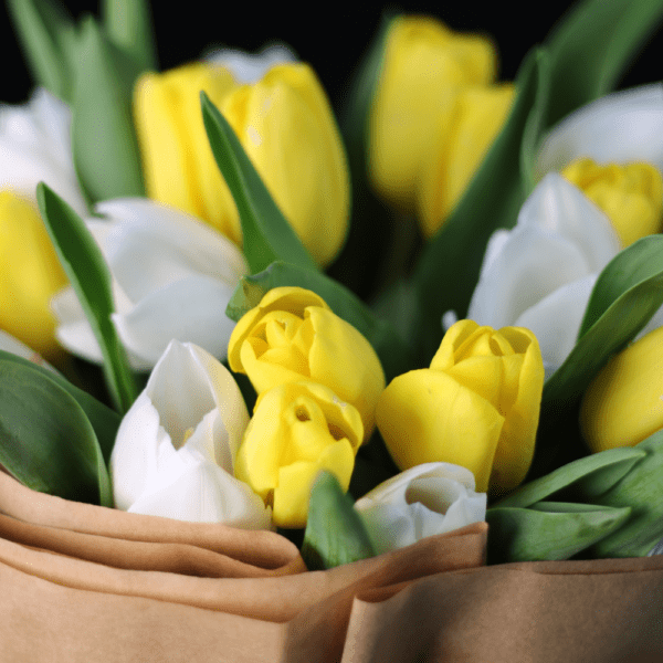Romantic Tulips - Order Tulips flower bouquet | btf.in