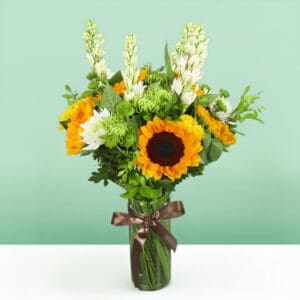 Brighten your day - Buy Sunflowers Online | btf.in