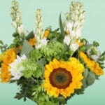 Brighten your day (3)