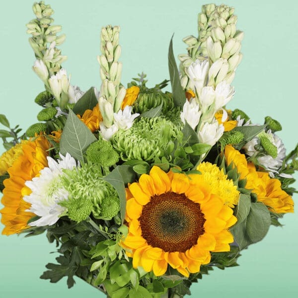 Brighten your day - Buy Sunflowers Online | btf.in