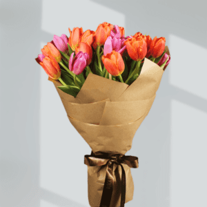Summer Tulip - Buy Tulips Online at btf.in