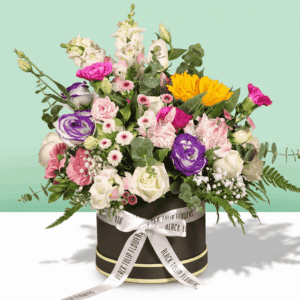 Sunny Delight - Buy Exotic Flowers | btf.in