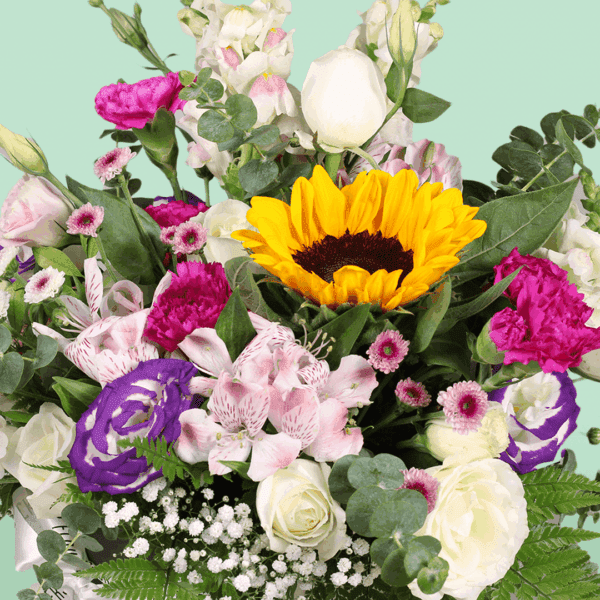 Sunny Delight (3) Sunny Delight - Buy Exotic Flowers | btf.in