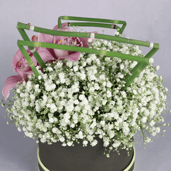 A Touch of Sweetness - Order baby's breath in box | btf.in