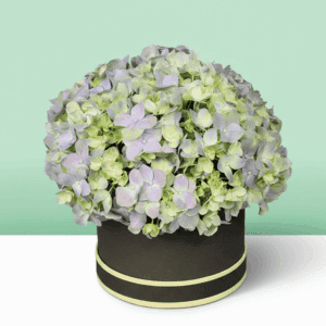 Different shades of green displayed together