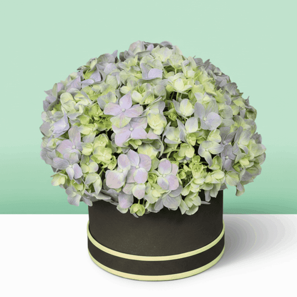 Different shades of green displayed together