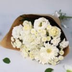 Whispering White Blossoms