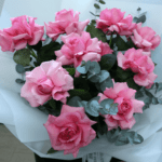 Full of sweetness