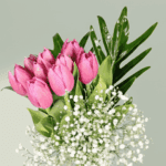 Stunning Pink Tulips