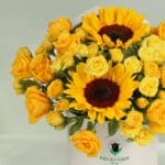 The Sunshiny Blooms (1)