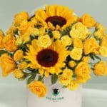 The Sunshiny Blooms (3)