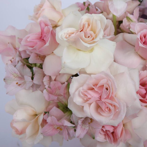 Rosy Delight - Pastel Flowers in Box | BTF.in