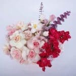 Rosy Delight