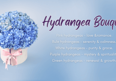 Hydrangea Bouquet