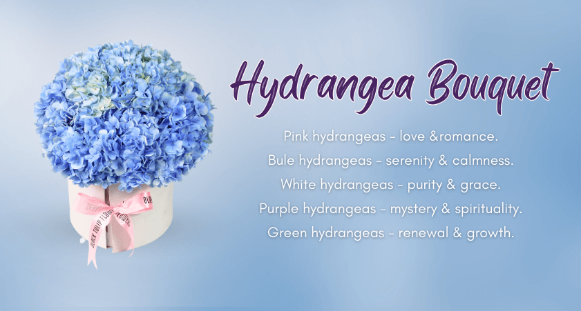 Hydrangea Bouquet