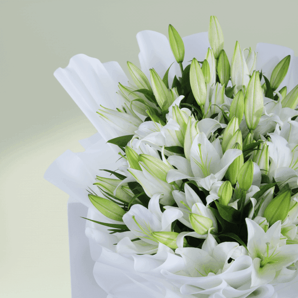 Pure Elegance - Order White lily bouquet | BTF.in