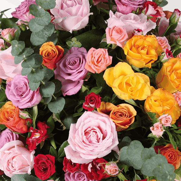 Rainbow Romance - luxury flower bouquet | BTF.in