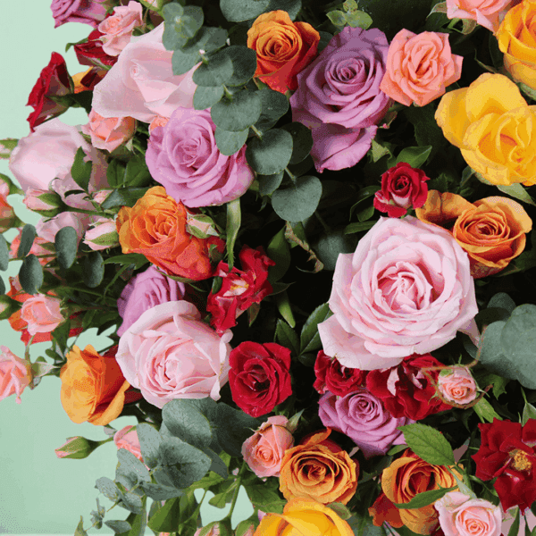 Rainbow Romance - luxury flower bouquet | BTF.in