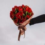 xmas bouquet with Tulips and Berries | Black Tulip Flowers Online